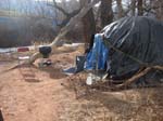 2010-02-05_160638
