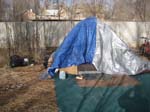 2010-02-05_160820
