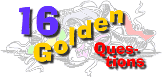16 Golden Questions