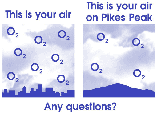 Back of the Incline Club T-shirt