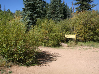 No Name Creek on the Pikes Peak Barr Trail